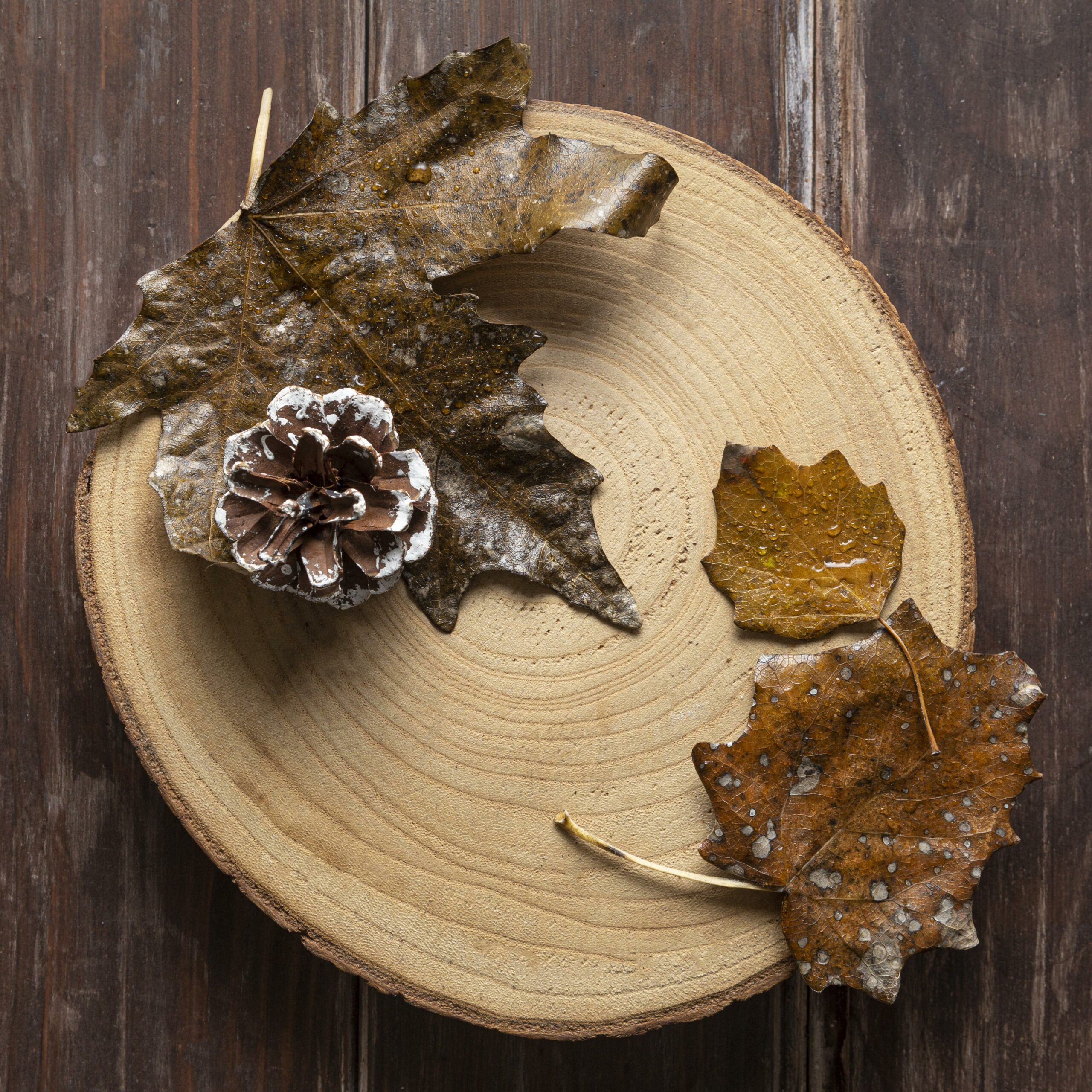 Paysagiste Angoulême