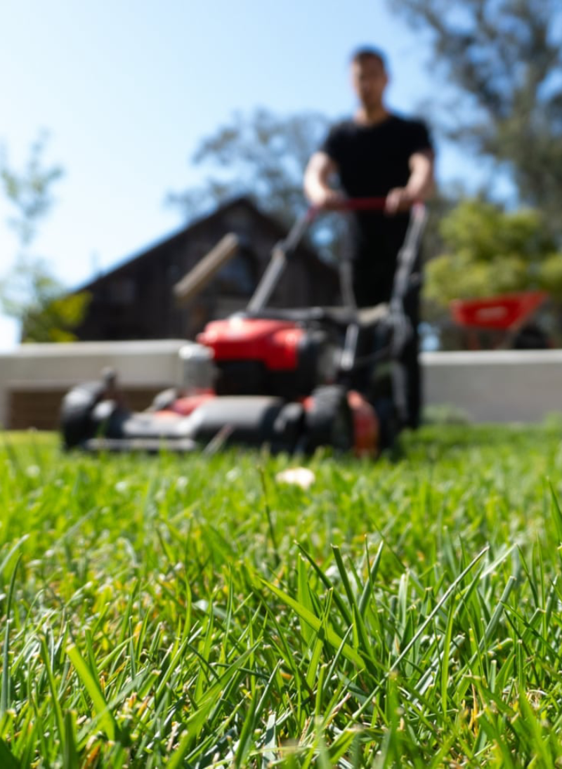Sarl Jardin'haie La Couronne