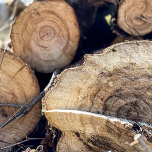 Sarl Jardin'haie La Couronne